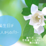 誕生日が同じ人からのパワー